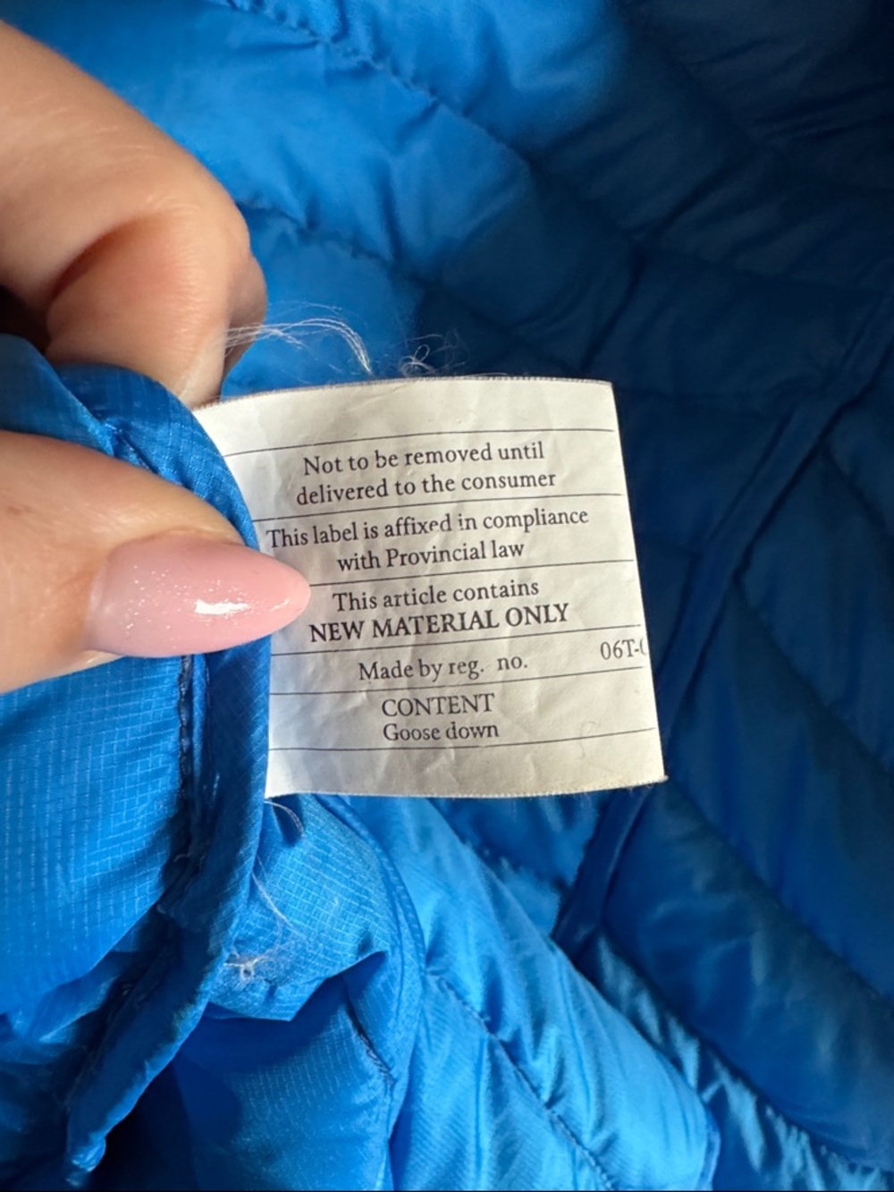 Patagonia Fiona down parka - Picture 5 of 5